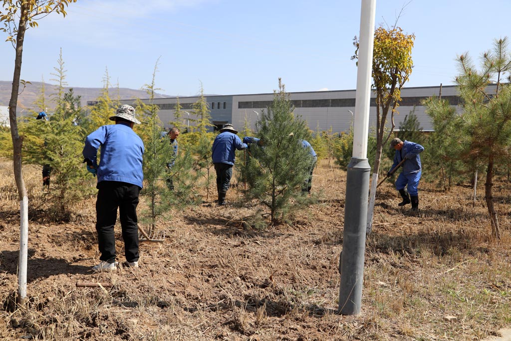 星火機(jī)床物業(yè)公司開(kāi)展樹(shù)木移栽活動(dòng)