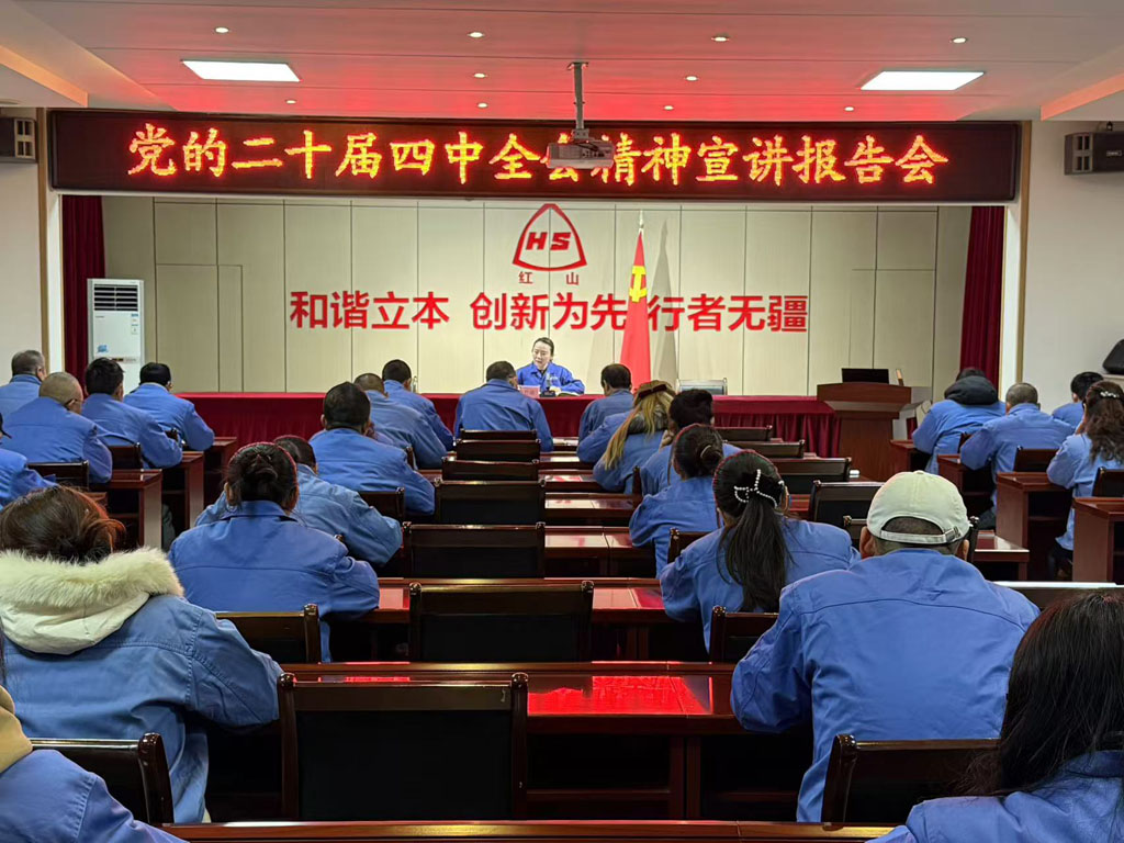 星火數(shù)控紅山黨支部舉行深入學習二十屆四中全會精神報告會